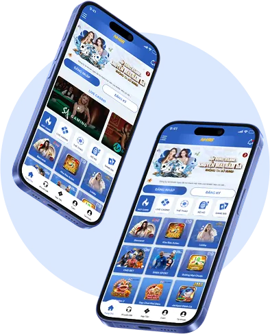 Lịch sử phát triển DEBET INFO