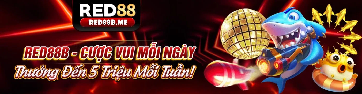 Tổng quan về các ưu đãi và khuyến mãi của debet info